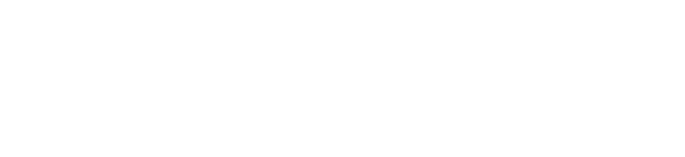 Princeton-Premium-Fund-Logo_W